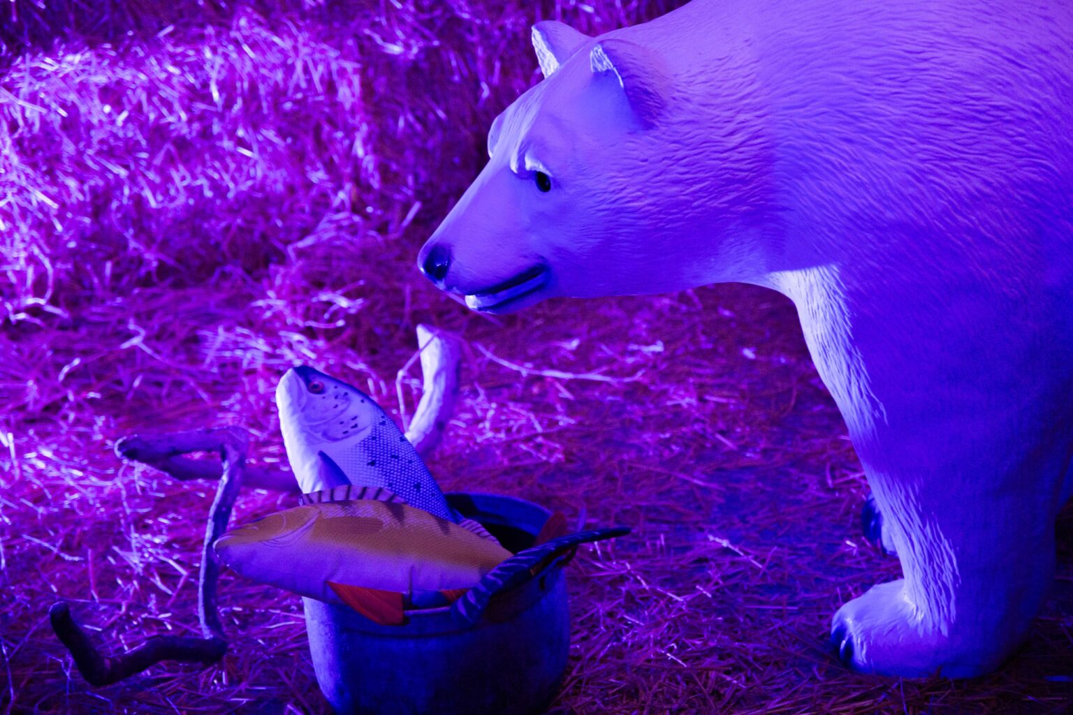 Jääkarukuju värvilises valguses Loomade Võlumaal